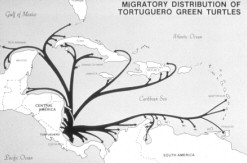 tort-tag-return-map