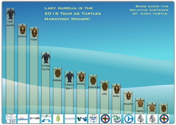 tdtwinnerleaderboard-600x425