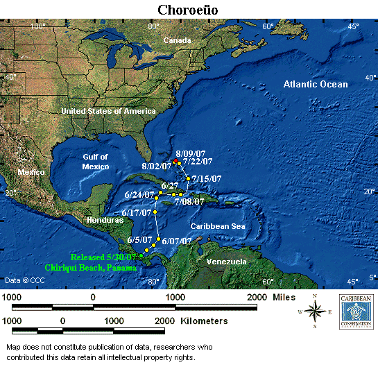 choroeuo-region