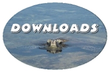 downloads-link-image